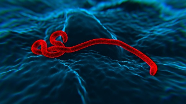 Wieder Ebola in Liberia