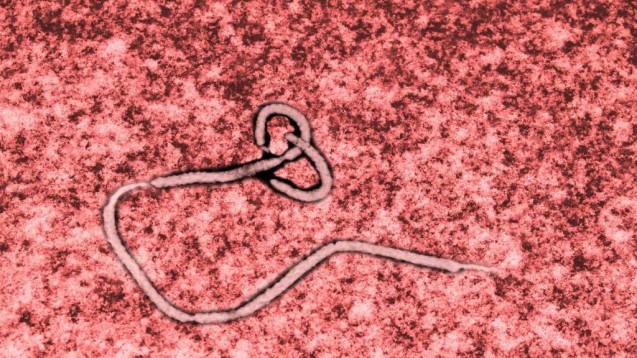 Erste Ebola-Vakzine überhaupt: EU-Zulassung für Ebola-Impfstoff Ervebo - DAZ.online