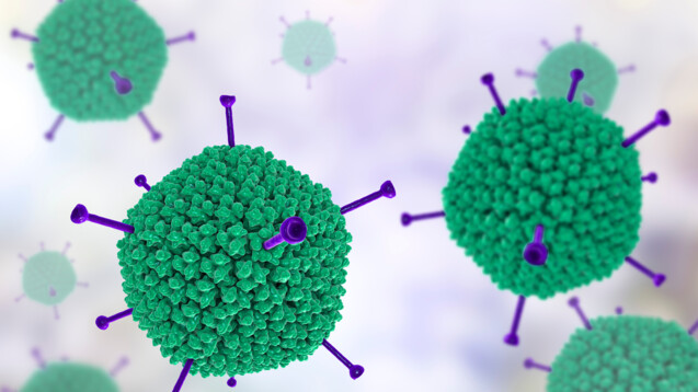Modell von Adenoviren. (Abbildung: Dr_Microbe/AdobeStock)