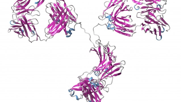 Trastuzumab ist ein monoklonaler Antikörper. (Foto: imago / Science Phpto Library)