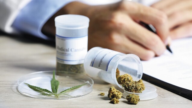 Die Zahl der Anträge auf Versorgung mit Medizinalcannabis geht bei der Barmer zurück. (x / Foto:&nbsp;Africa Studio / AdobeStock)