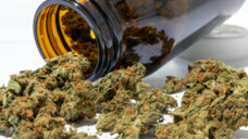 Medizinisches Cannabis aus der Apotheke. (IMAGO / Smith)