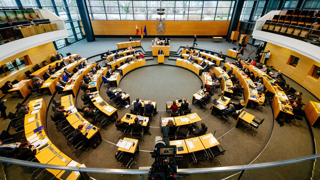 Die AfD-Fraktion im Thüringer Landtag will mit einem Beschluss im Plenum erreichen, dass sich die Landesregierung im Bundesrat nochmals für das Rx-Versandverbot einsetzt. (Foto: imago images / Bauerschmidt)