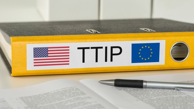 Die TTIP-Resolution des Handelsausschusses spaltet das EU-Parlament. (Bild: Zerbor/Fotolia)