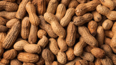 Im Kindesalter ist jede vierte Nahrungsmittel-induzierte Anaphylaxie auf Erdnüsse zurückzuführen. (Foto: IMAGO / Zoonar)