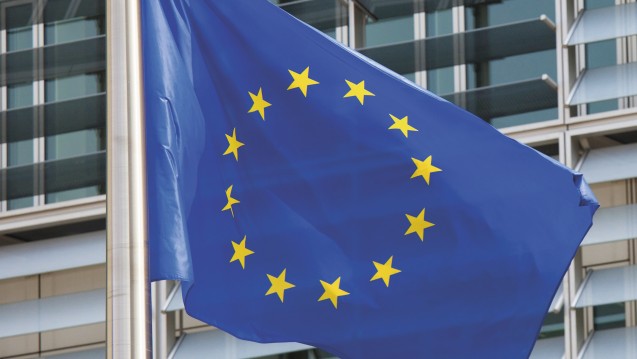 Die EU-Kommission hat in der vergangenen Woche einen Verordnungsentwurf für eine gemeinsame Nutzenbewertung vorgelegt. Der VdPP kritisiert das Vorhaben. (Foto: Jorisvo / stock.adobe.com)
