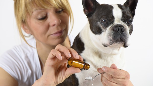 Bundesregierung unterstützt Homöopathie in der Tiermedizin