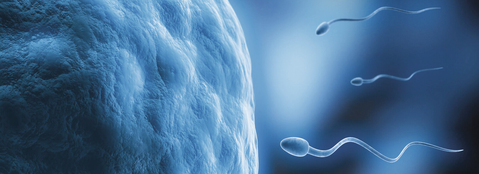 Sperma-Dilemma: Fruchtbarkeit der Männer in Gefahr 