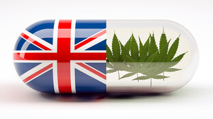 Cannabis zu medizinischen Zwecken jetzt auch in UK