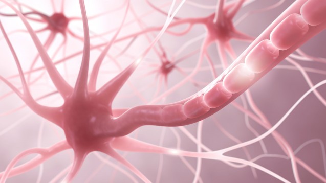 Multiple Sklerose: Demyelinisierung der Neurone charakterisiert die häufigste neurologische Erkrankung junger Erwachsener. (Foto: ag visuell / Fotolia)