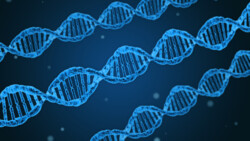 Auch die genetische Ausstattung hat Einfluss auf die Pharmakokinetik und -dynamik. (Foto: Dan Race / Adobe Stock)