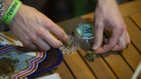 Jugendliche halten Cannabis für immer weniger gefährlich
