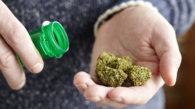 Die Schiedsstelle hat entschieden, wie Apotheken BfArM-Cannabis zulasten der GKV abrechnen können. (IMAGO / Cavan Images)
