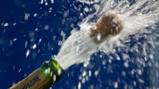 Beim Öffnen einer Champagnerflasche kann der Korken eine Geschwindigkeit von bis zu 80 km/h erreichen. (Foto:&nbsp;Gina Sanders/AdobeStock)
