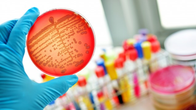 Werden bakterielle Infektionen tatsächlich wieder so gefährlich, wie sie einst waren? (Foto: jarun011 / Fotolia)