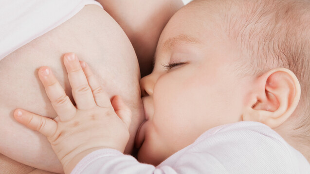 Kennen Sie den Milch/Plasma-Quotienten und wissen Sie, welches
Schmerzmittel in der Stillzeit den Säugling am wenigsten belastet? (Foto: Oscar
Brunet / stock.adobe.com)