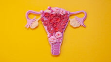Endometriose ist eine komplexe Erkrankung und mit einem hohen Leidensdruck bei den Frauen verbunden. (Bild: Alena / AdobeStock)