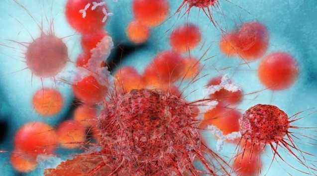 Krebszelle: Entdeckte Biomarker sollen nun weiter untersucht werden. (Foto: fotoliaxrender - Fotolia)