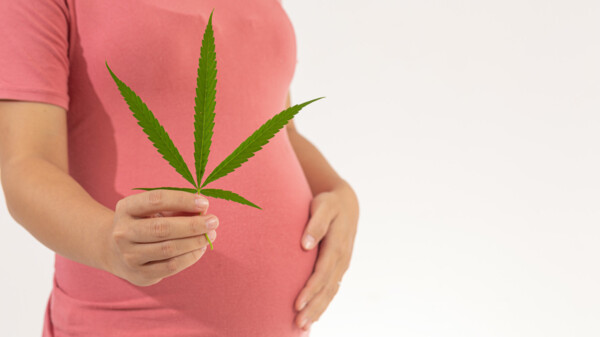 Gegen Schwangerschaftsübelkeit ist Cannabis keine gute Idee