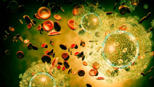 HIV – wie pharmakologische Forschung das Gesicht einer Krankheit verändert