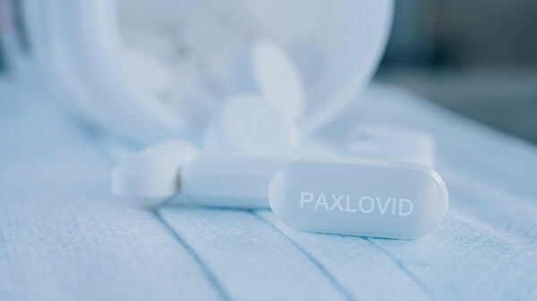 EMA hat mit Prüfung von Paxlovid begonnen – noch vor Zulassungsantrag