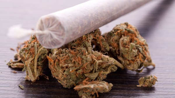 Bundesregierung lehnt Freigabe von Cannabis weiter ab