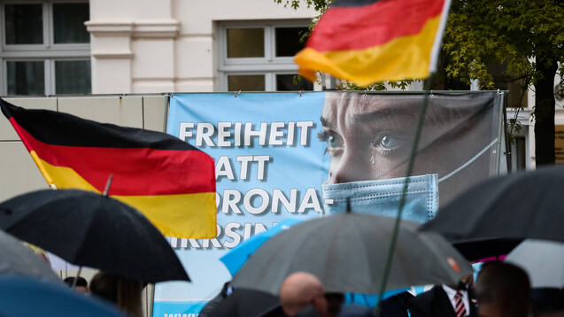 „Corona-Irrsinn stoppen“ heißt es im ersten Kapitel-Titel des AfD-Wahlprogramms für Sachsen-Anhalt. (IMAGO / Christian Schroedter)