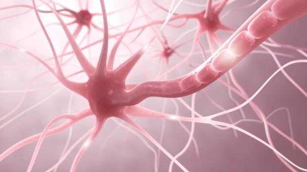 Gerinnungsfaktoren schädigen Nervenzellen