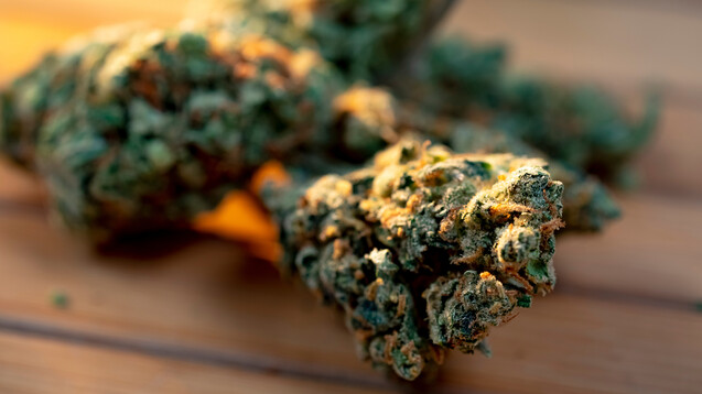 Wenn Cannabis legalisiert wird …: Warum eine fundierte Beratung bei Abgabe  von Cannabis als Genussmittel notwendig ist