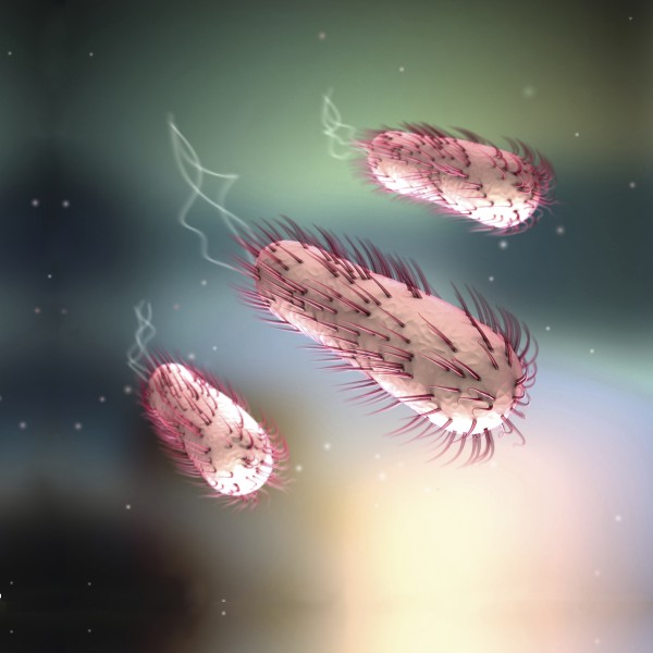 Angriff der Mikroben