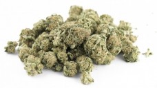Jetzt ist die  Arzneibuch-Monographie zu Cannabisblüten veröffentlicht. (Foto: Foto: rgbspace – Fotolia.com)