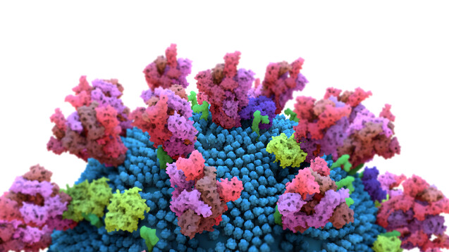 Die derzeitigen SARS-CoV-2-Impfstoffe zielen überwiegend nur auf eines der zahlreichen Virusproteine ab, nämlich das Spike-Protein. Ist dieses durch Mutationen verändert, bleibt die Immunantwort durch T-Killerzellen aus. (Foto: Design Cells / stock.adobe.com)