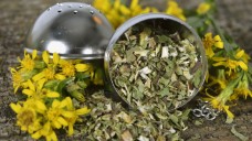 Traditionelle pflanzliche Arzneimittel mit Goldrutenkraut sollen aus der Apothekenpflicht entlassen werden. (Foto: Brigitte Bonaposta / Fotolia)