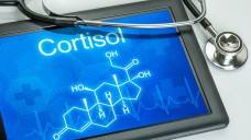 Zuviel Cortisol ist die Ursache des Cushing-Syndroms. Bei der Behandlung mit Ketoconazol ist die mögliche Lebertoxizität zu beachten. (Foto: Zerbor/Fotolia.com)
