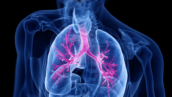 CHMP empfiehlt erste fixe Dreierkombination für Asthmatiker