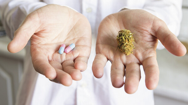 Cannabis-Ärzte und –Apotheker widersprechen AMK