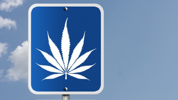 Sollen Cannabis-Patienten Autofahren dürfen oder nicht?