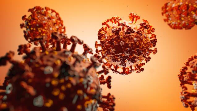 Könnten sich vorausgegangene Infektionen mit landläufigen Erkältungs-Coronaviren über eine Kreuzreaktivität mildernd auf den Verlauf einer SARS-CoV-2-Infektion auswirken? (s / Foto: pinkeyes / stock.adobe.com)