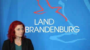 Wann haben die Brandenburger Behörden was im Lunapharm-Skandal erfahren?