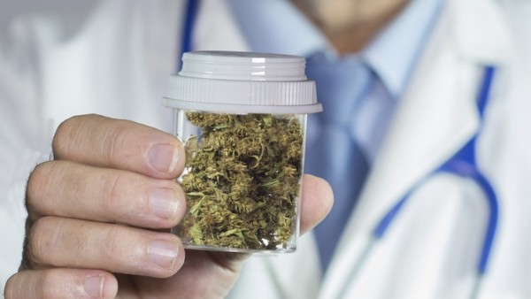 Sprunghafter Anstieg bei Medizinal-Cannabis