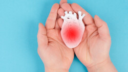 Laut Studien der vergangenen fünf Jahre treten Herzversagen und kardiale Dysfunktionen nach einer Therapie mit Immuncheckpoint-Inhibitoren häufiger auf, als bislang angenommen. (Foto: Berit Kessler / AdobeStock)