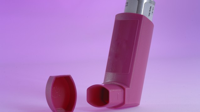 Verliert die klassische Asthmatherapie an Bedeutung? (Foto: Gerhard Seibert / Fotolia)