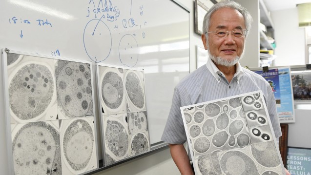Wegweisende Forschung: Der Japaner Yoshimori Ohsumi hat den Medizin-Nobelpreis 2016 gewonnen. (Foto: dpa)