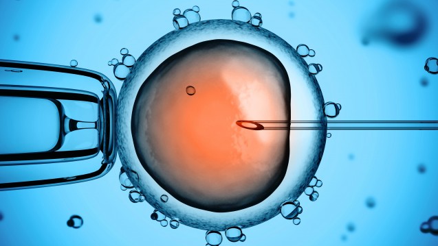 Verändern für Forschungszwecke erlaubt: In Großbritannien wollen Forscher das Genom von Embryonen abändern. (Bild: koya979 / Fotolia)