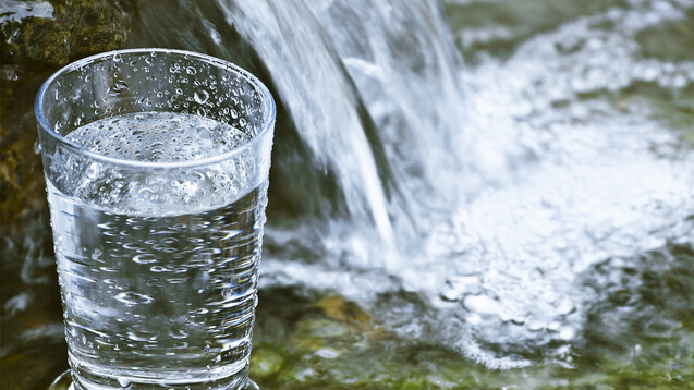 Ein Glas Wasser spielt in unserer Rätselfrage eine unrühmliche Rolle. (p / Foto: S_E / stock.adobe.com)