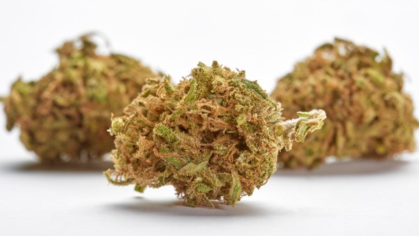 Apotheken gaben im März mehr als 500-mal Cannabisblüten ab
