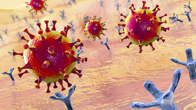 Zwei Forschergruppen sind unabhängig voneinander zu dem Ergebnis gekommen, dass die Infektion von Zellen mit SARS-CoV-2 durch die spezifische Blockierung von Neuropilin-1 mit Antikörpern unterdrückt werden konnte. (s / Foto: Kateryna_Kon / stock.adobe.com)