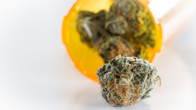 Cannabis als erstattungsfähiges Arzneimittel – noch ist man uneins, wie die Voraussetzungen genau aussehen sollen.  (Foto: Wollertz / Fotolia)