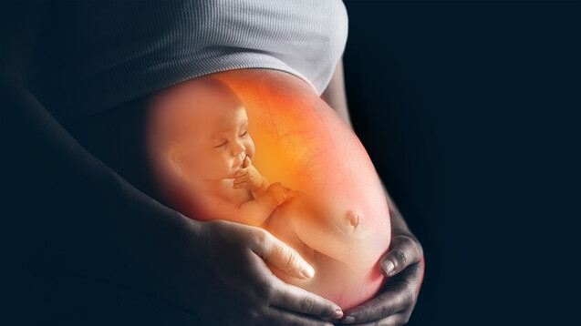 Ist die erste Schwangerschaft ohnehin eine aufregende Zeit, so bringt Corona zusätzlich Unruhe. ( r / Foto:&nbsp;Zffoto / stock.adobe.com)&nbsp;