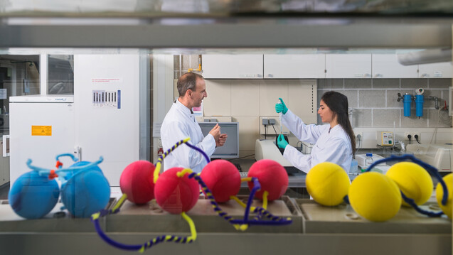 Mit farbigen Bällen
und Pfeifenreinigern veranschaulichen Prof. Oliver Lieleg und Doktorandin Ceren
Kimna, wie DNA-Stücke Nanopartikel miteinander verbinden können. (Foto: Uli Benz /
TU Muenchen)